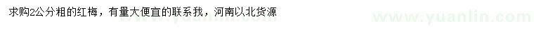 求購2公分紅梅