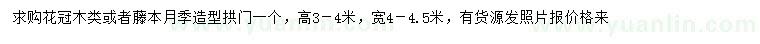 求購高3-4米花冠木類或者藤本月季造型拱門