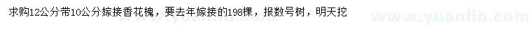 求購12公分香花槐