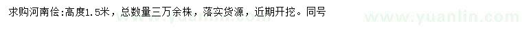 求購高1.5米河南檜