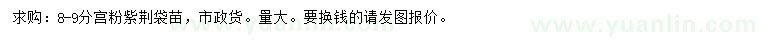 求購8-9公分宮粉紫荊