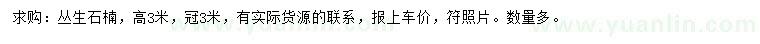 求購高3米叢生石楠