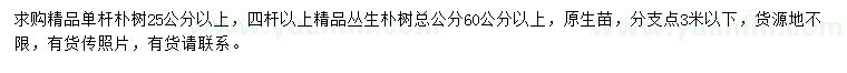 求購25公分樸樹、60公分叢生樸樹