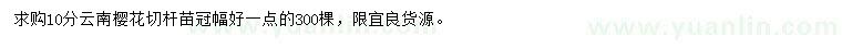 求購10公分云南櫻花