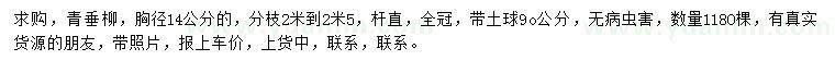 求購胸徑14公分青垂柳