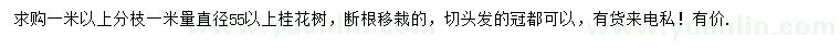 求購1米量直徑55公分以上桂花