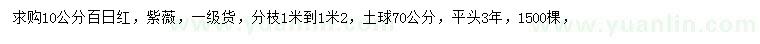 求購10公分百日紅紫薇