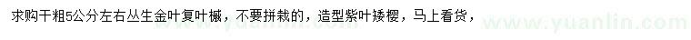 求購5公分左右叢生金葉復葉槭
