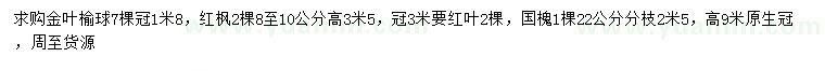 求購(gòu)金葉榆球、紅楓、國(guó)槐