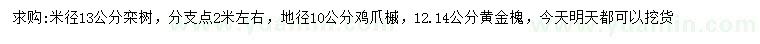 求購(gòu)欒樹、雞爪槭、黃金槐