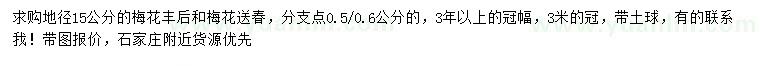 求購地徑15公分豐后梅、送春梅
