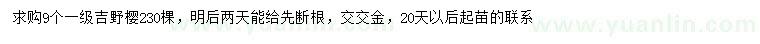 求購(gòu)9公分吉野櫻