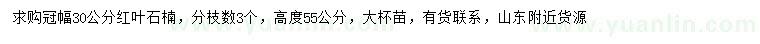 求購冠幅30公分紅葉石楠