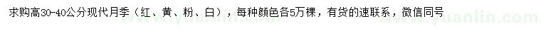 求購高30-40公分現(xiàn)代月季