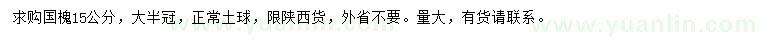 求購(gòu)15公分國(guó)槐