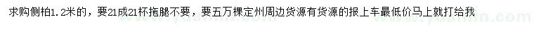 求購(gòu)1.2米側(cè)柏