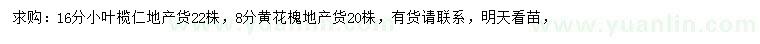 求購16公分小葉欖仁、8公分黃花槐