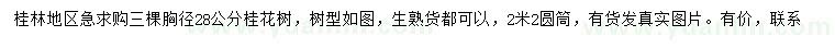 求購胸徑28公分桂花