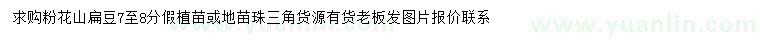 求購7-8公分粉花山扁豆