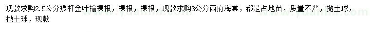 求購(gòu)2.5公分矮桿金葉榆、3公分西府海棠