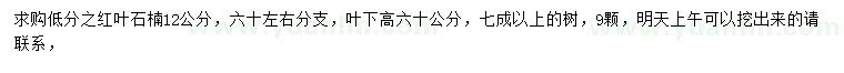 求購(gòu)12公分紅葉石楠