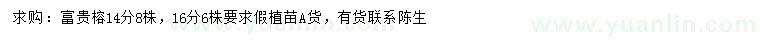 求購14、16公分富貴榕