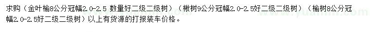 求購(gòu)金葉榆、楸樹、榆樹