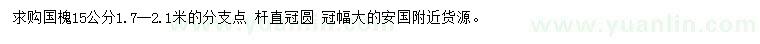 求購(gòu)15公分國(guó)槐