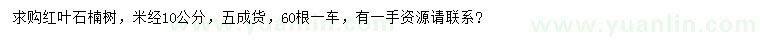 求購米徑10公分紅葉石楠