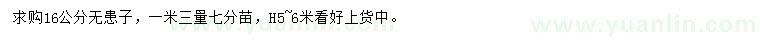 求購16公分無患子