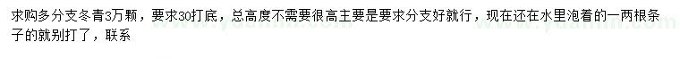 求購30公分打底冬青