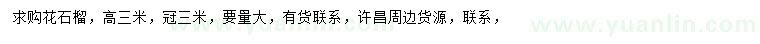 求購高3米花石榴