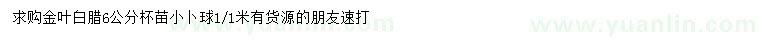 求購6公分金葉白蠟