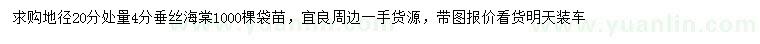 求購(gòu)20公分處量4公分垂絲海棠