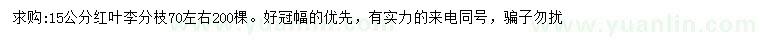 求購15公分紅葉李