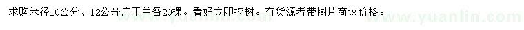 求購(gòu)米徑10、12公分廣玉蘭