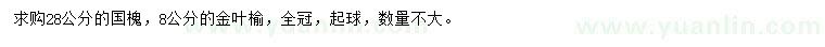 求購28公分國槐、8公分金葉榆