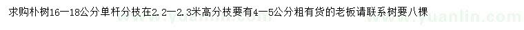 求購(gòu)16-18公分樸樹(shù)