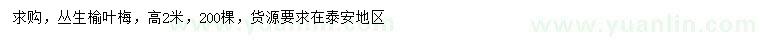 求購高2米叢生榆葉梅