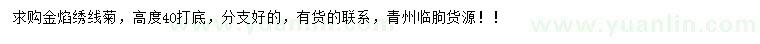 求購高40公分打底金焰繡線菊
