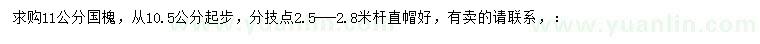 求購10.5公分起步11公分國槐