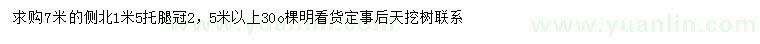 求購7米側(cè)柏