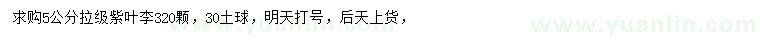 求購5公分紫葉李