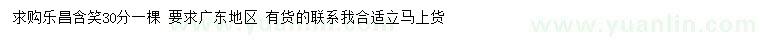 求購30公分樂昌含笑