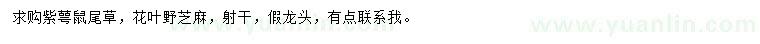 求購(gòu)紫萼鼠尾草、花葉野芝麻、射干