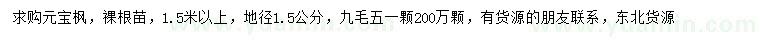 求購1.5米以上元寶楓