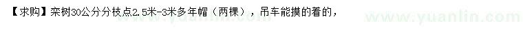 求購(gòu)30公分欒樹(shù)