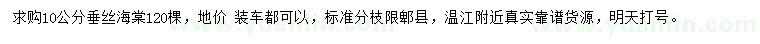 求購(gòu)10公分垂絲海棠