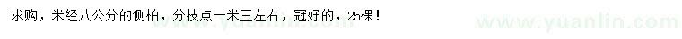 求購米徑8公分側(cè)柏