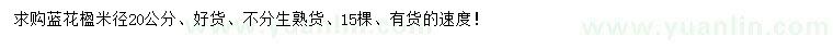 求購(gòu)米徑20公分藍(lán)花楹